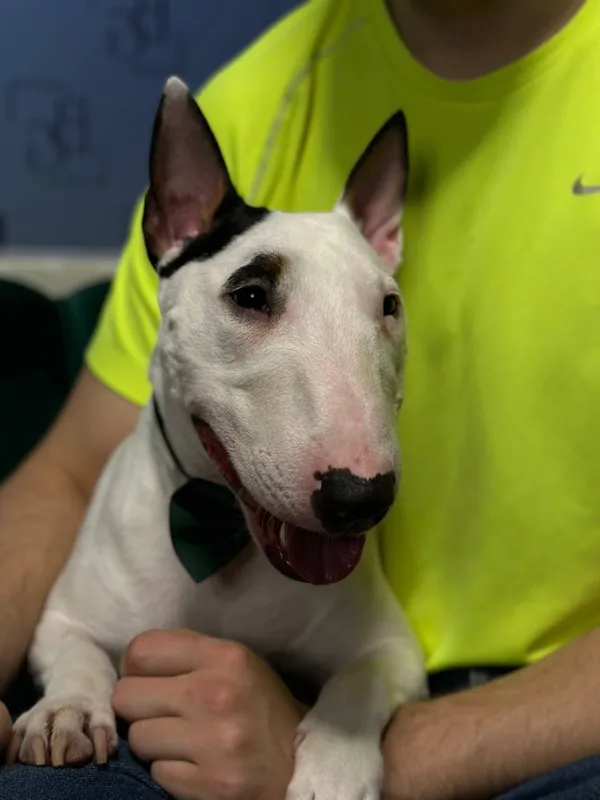 Organoleptic Approved