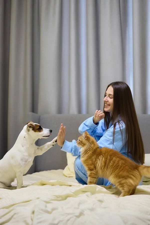 Dog and cat together